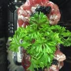 Best Tuna Dumpling in Watertown, MA